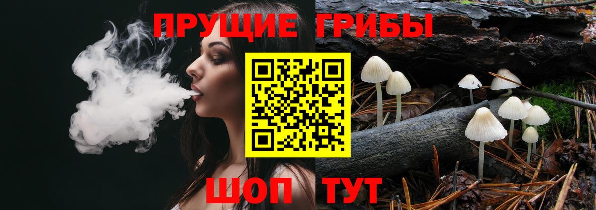 Тихорецк  Псилоцибиновые грибы Psilocybe  Вход с VPN 