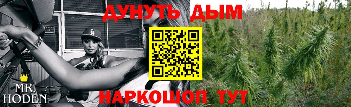 Каннабис индика Тихорецк